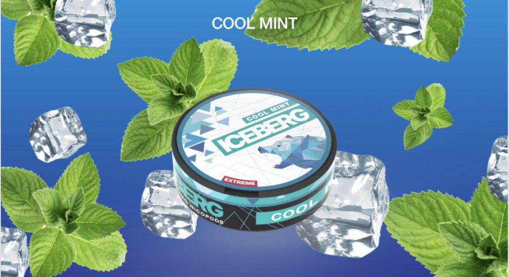 iceberg nicotine pouches