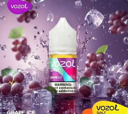 Vozol-Saltnic-30mg-E-liquid-Grape-Ice-Photoroom (1)